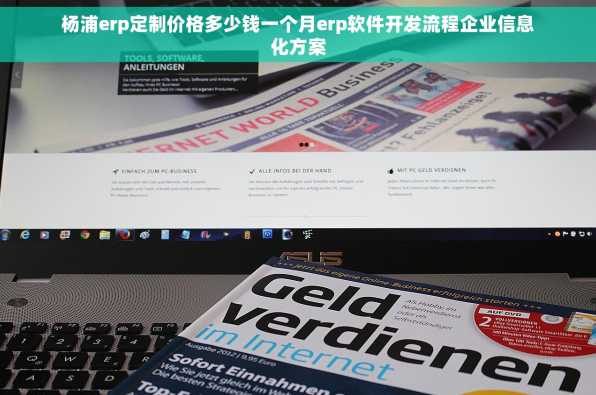 杨浦erp定制价格多少钱一个月erp软件开发流程企业信息化方案