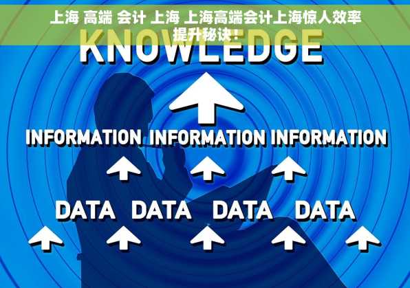 上海 高端 会计 上海 上海高端会计上海惊人效率提升秘诀！