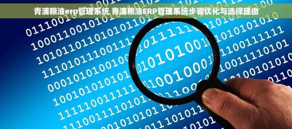 青浦粮油erp管理系统 青浦粮油ERP管理系统步骤优化与选择理由