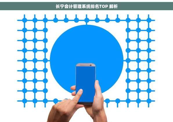 长宁会计管理系统排名TOP 解析