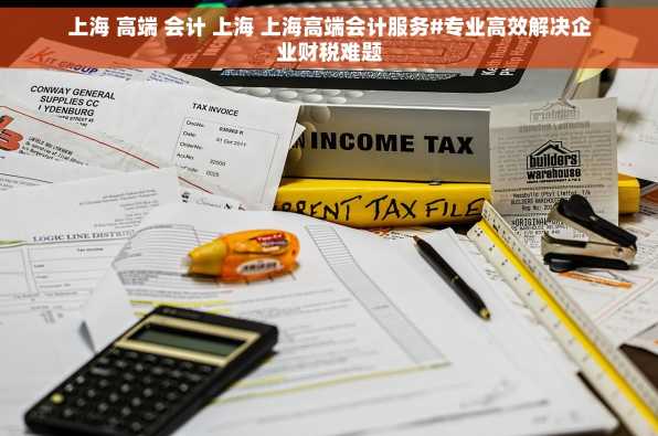 上海 高端 会计 上海 上海高端会计服务#专业高效解决企业财税难题