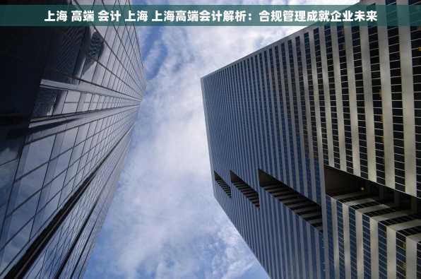 上海 高端 会计 上海 上海高端会计解析：合规管理成就企业未来