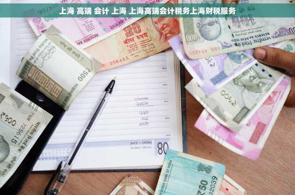 上海 高端 会计 上海 上海高端会计税务上海财税服务