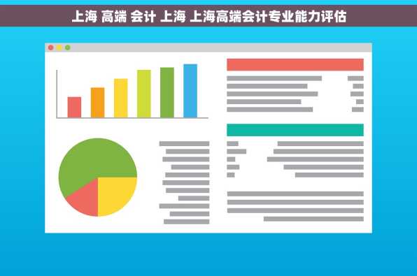 上海 高端 会计 上海 上海高端会计专业能力评估