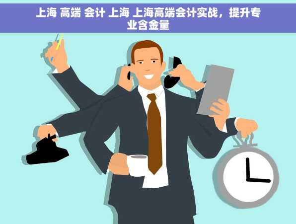 上海 高端 会计 上海 上海高端会计实战，提升专业含金量