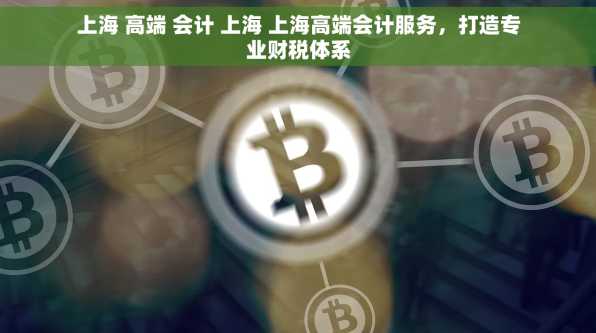 上海 高端 会计 上海 上海高端会计服务，打造专业财税体系