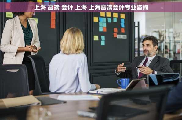 上海 高端 会计 上海 上海高端会计专业咨询