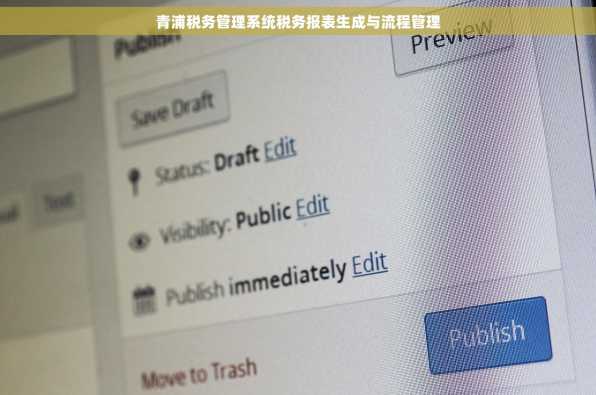 青浦税务管理系统税务报表生成与流程管理