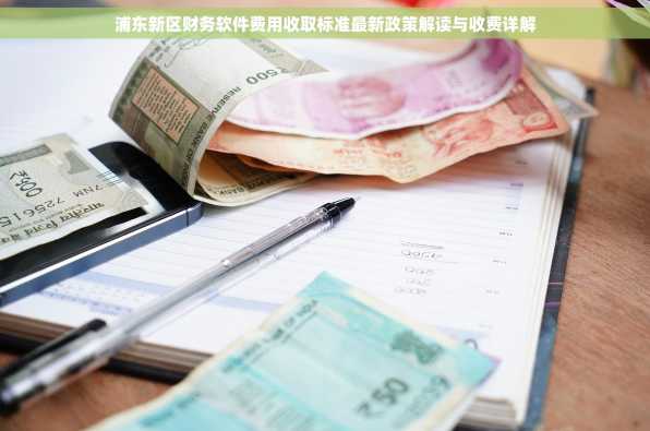 浦东新区财务软件费用收取标准最新政策解读与收费详解
