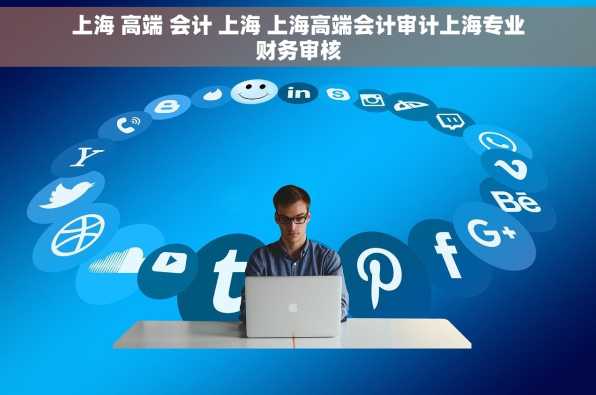 上海 高端 会计 上海 上海高端会计审计上海专业财务审核