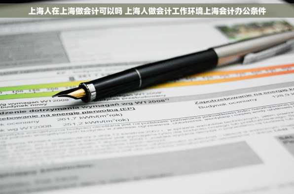 上海人在上海做会计可以吗 上海人做会计工作环境上海会计办公条件