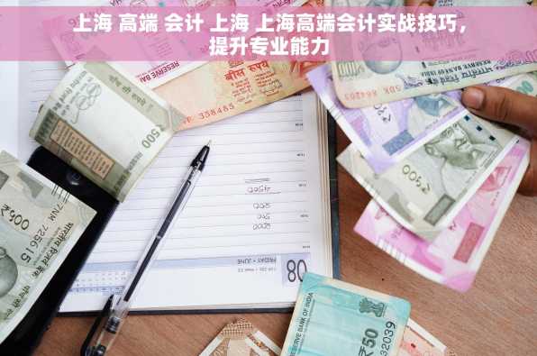 上海 高端 会计 上海 上海高端会计实战技巧，提升专业能力