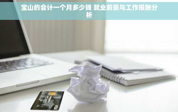 宝山的会计一个月多少钱 就业前景与工作报酬分析