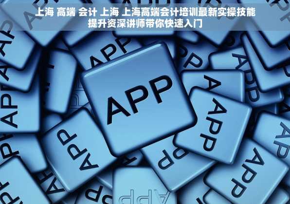 上海 高端 会计 上海 上海高端会计培训最新实操技能提升资深讲师带你快速入门