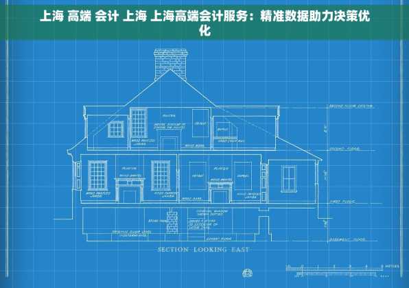 上海 高端 会计 上海 上海高端会计服务：精准数据助力决策优化