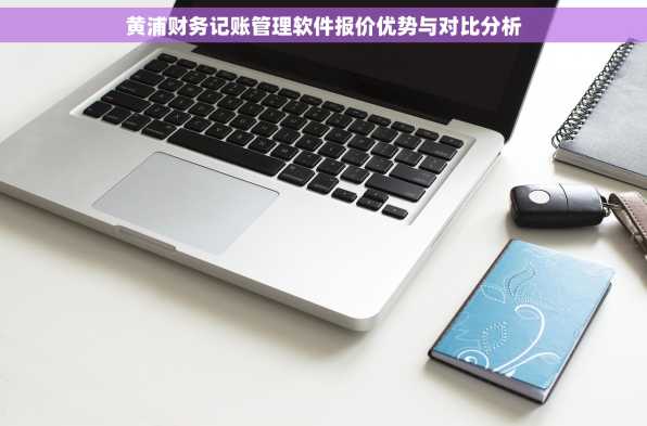 黄浦财务记账管理软件报价优势与对比分析