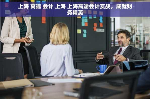 上海 高端 会计 上海 上海高端会计实战，成就财务精英