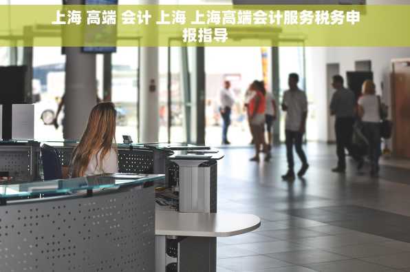 上海 高端 会计 上海 上海高端会计服务税务申报指导