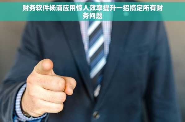 财务软件杨浦应用惊人效率提升一招搞定所有财务问题