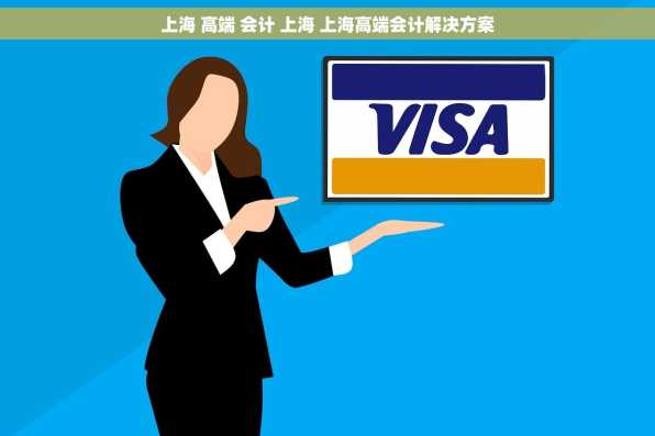 上海 高端 会计 上海 上海高端会计解决方案
