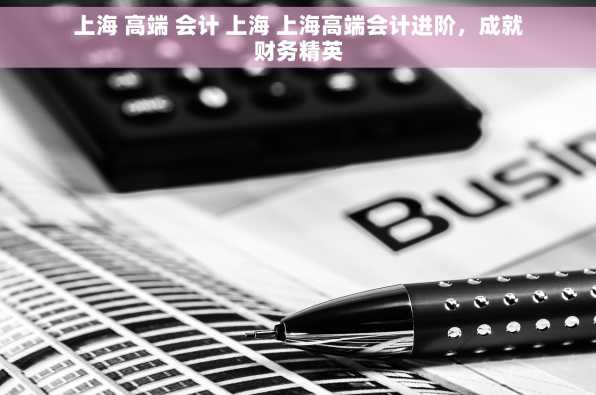 上海 高端 会计 上海 上海高端会计进阶，成就财务精英