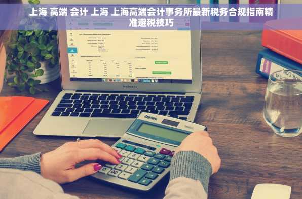 上海 高端 会计 上海 上海高端会计事务所最新税务合规指南精准避税技巧