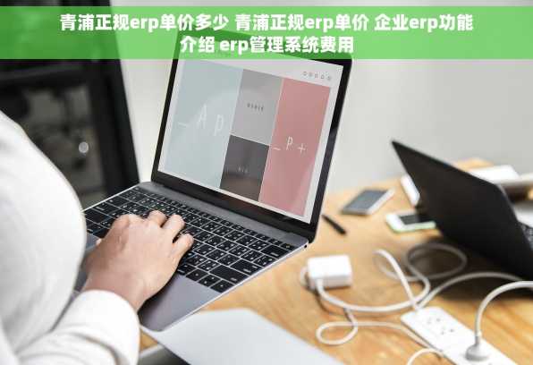 青浦正规erp单价多少 青浦正规erp单价 企业erp功能介绍 erp管理系统费用