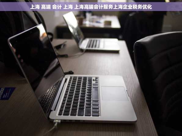上海 高端 会计 上海 上海高端会计服务上海企业税务优化