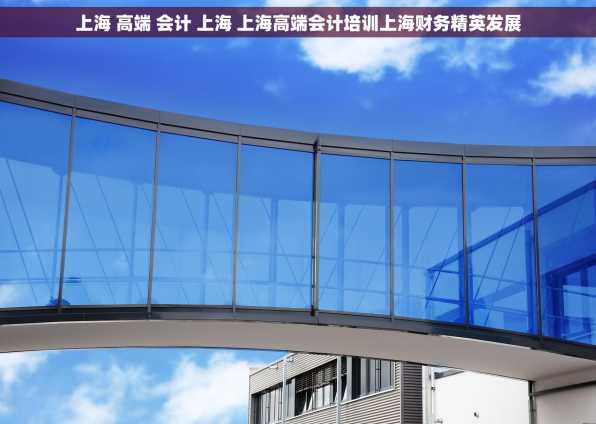 上海 高端 会计 上海 上海高端会计培训上海财务精英发展