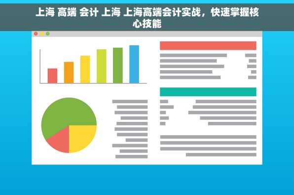 上海 高端 会计 上海 上海高端会计实战，快速掌握核心技能