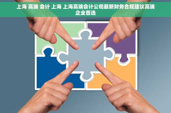 上海 高端 会计 上海 上海高端会计公司最新财务合规建议高端企业首选