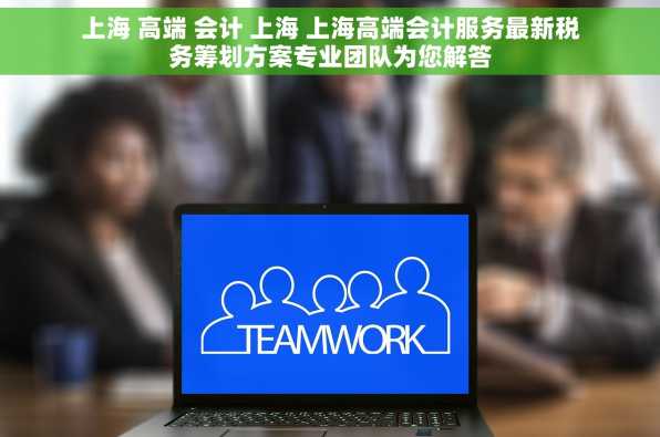 上海 高端 会计 上海 上海高端会计服务最新税务筹划方案专业团队为您解答
