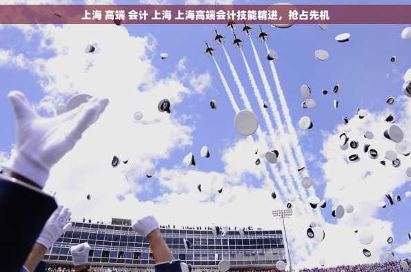 上海 高端 会计 上海 上海高端会计技能精进，抢占先机