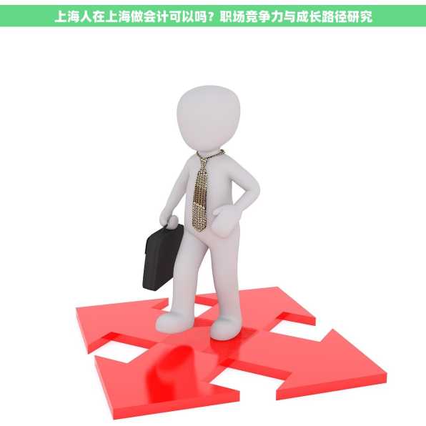 上海人在上海做会计可以吗？职场竞争力与成长路径研究