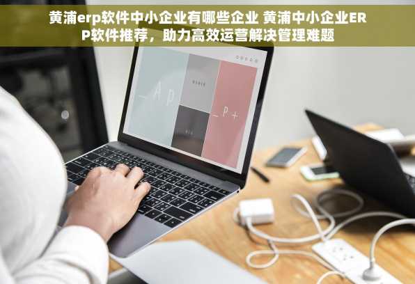 黄浦erp软件中小企业有哪些企业 黄浦中小企业ERP软件推荐，助力高效运营解决管理难题