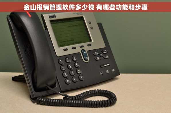 金山报销管理软件多少钱 有哪些功能和步骤