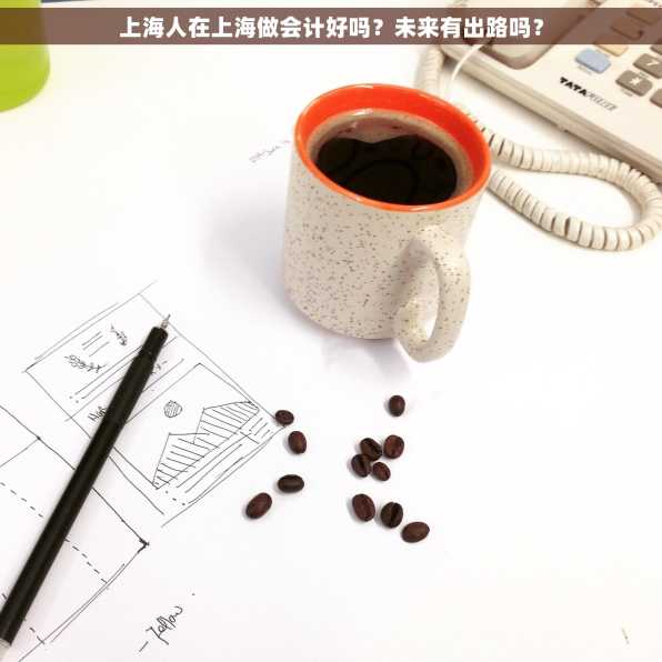 上海人在上海做会计好吗？未来有出路吗？
