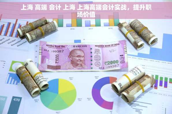 上海 高端 会计 上海 上海高端会计实战，提升职场价值