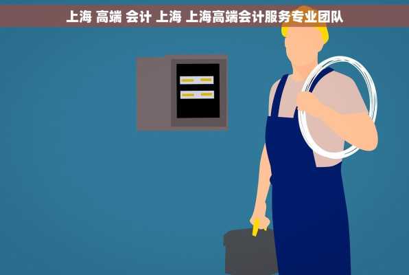 上海 高端 会计 上海 上海高端会计服务专业团队