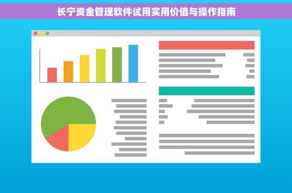 长宁资金管理软件试用实用价值与操作指南