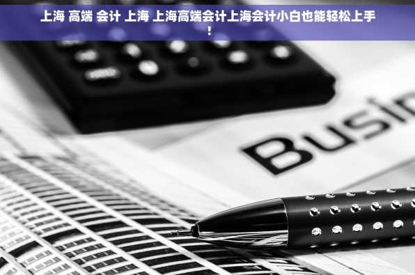 上海 高端 会计 上海 上海高端会计上海会计小白也能轻松上手！
