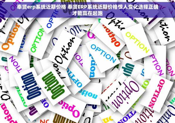 奉贤erp系统近期价格 奉贤ERP系统近期价格惊人变化选择正确才能赢在起跑