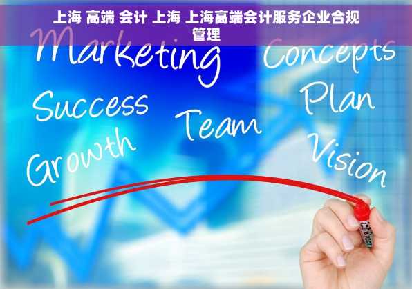 上海 高端 会计 上海 上海高端会计服务企业合规管理