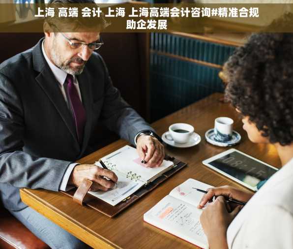 上海 高端 会计 上海 上海高端会计咨询#精准合规助企发展