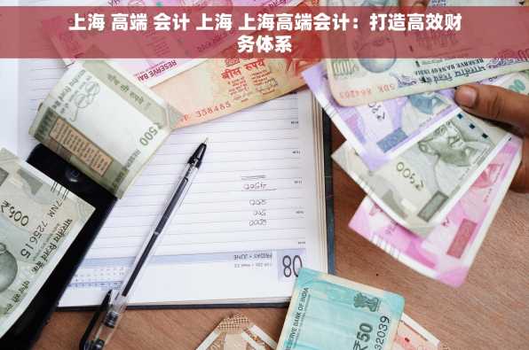 上海 高端 会计 上海 上海高端会计：打造高效财务体系