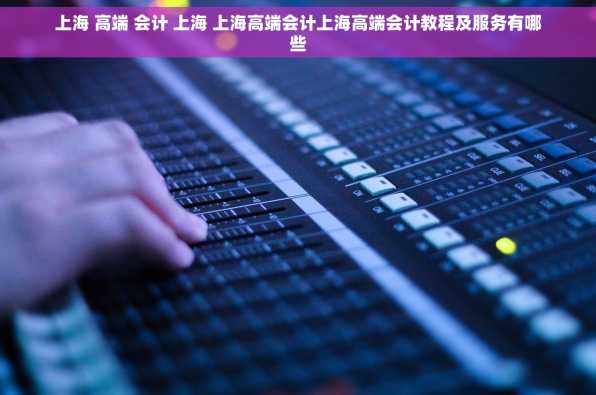 上海 高端 会计 上海 上海高端会计上海高端会计教程及服务有哪些