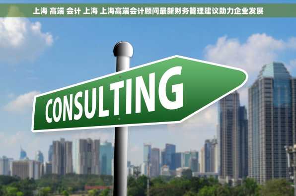 上海 高端 会计 上海 上海高端会计顾问最新财务管理建议助力企业发展