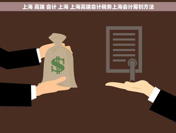 上海 高端 会计 上海 上海高端会计税务上海会计筹划方法