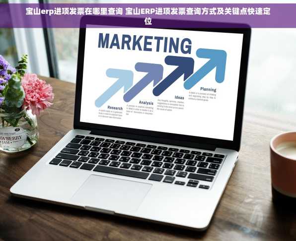 宝山erp进项发票在哪里查询 宝山ERP进项发票查询方式及关键点快速定位