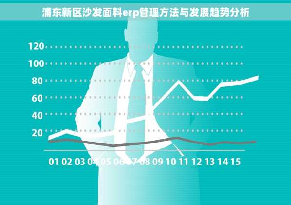 浦东新区沙发面料erp管理方法与发展趋势分析